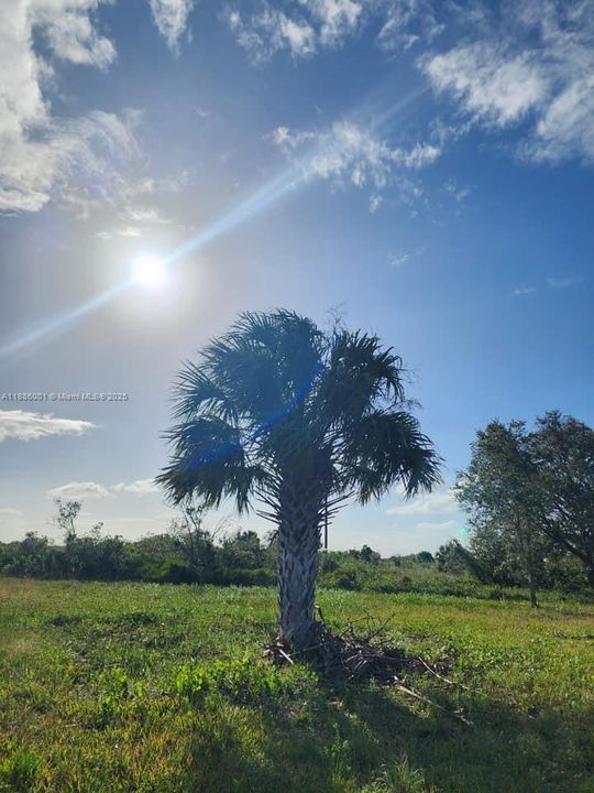 待售: $58,000 (1.25 acres)