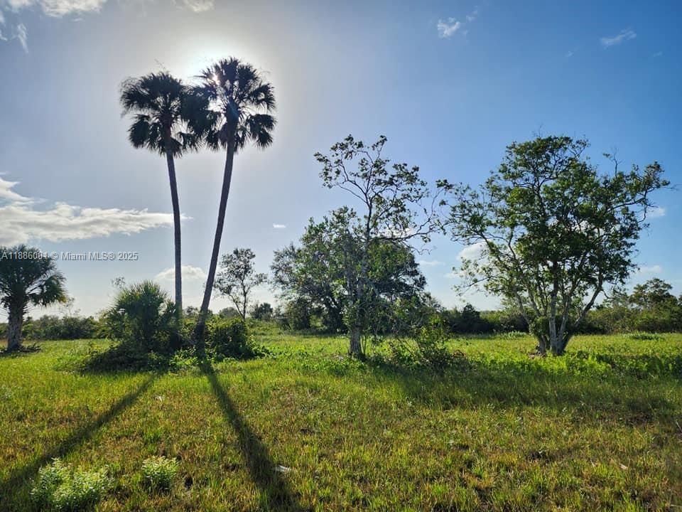 待售: $58,000 (1.25 acres)