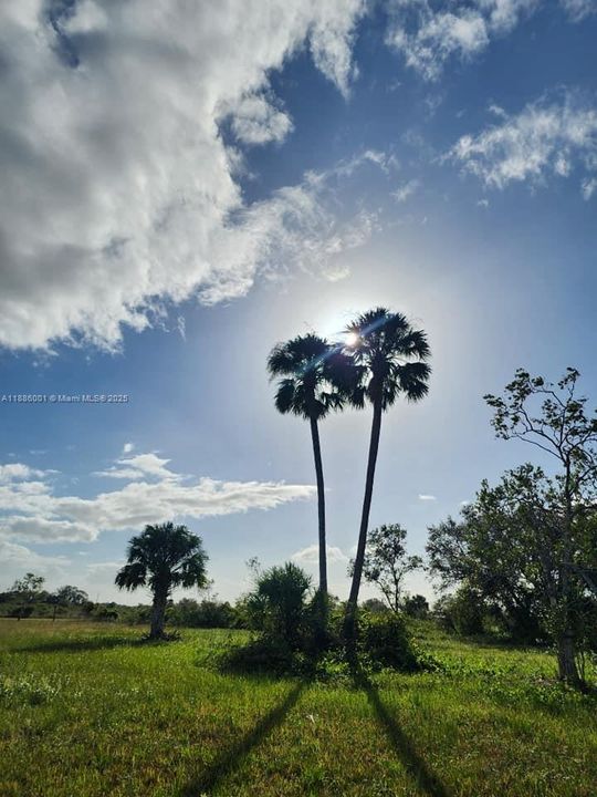 待售: $58,000 (1.25 acres)