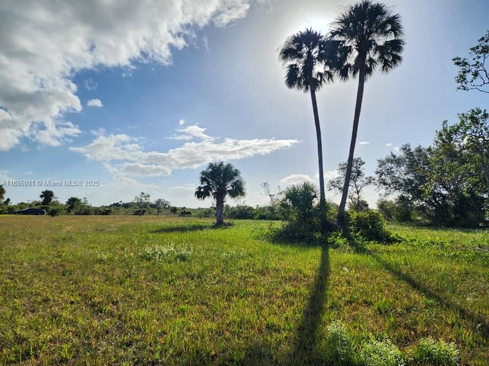 待售: $58,000 (1.25 acres)