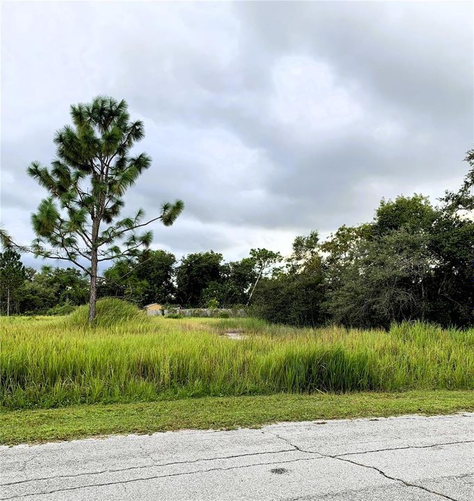 For Sale: $48,000 (0.41 acres)