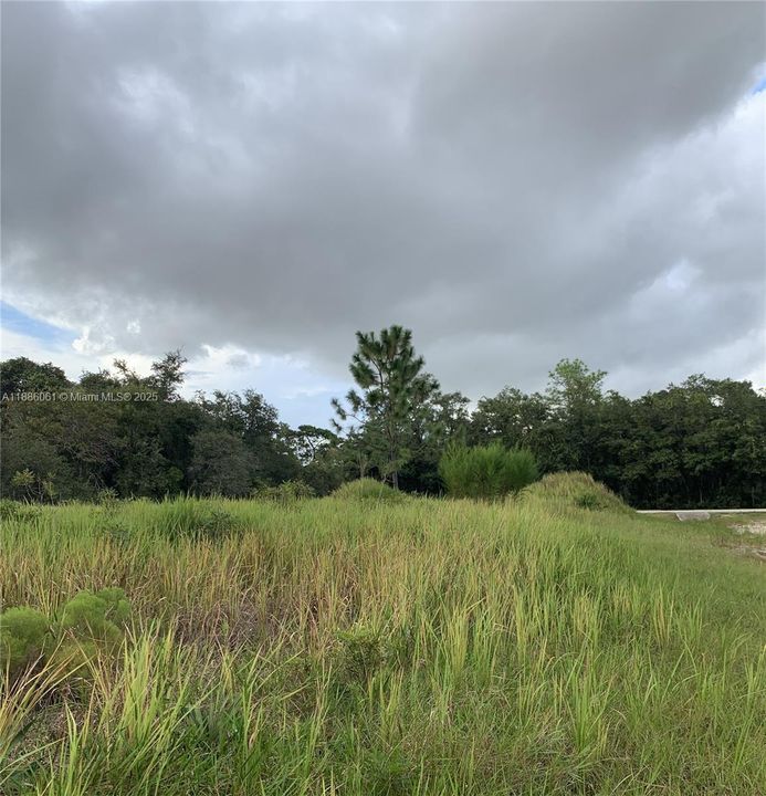 For Sale: $48,000 (0.41 acres)