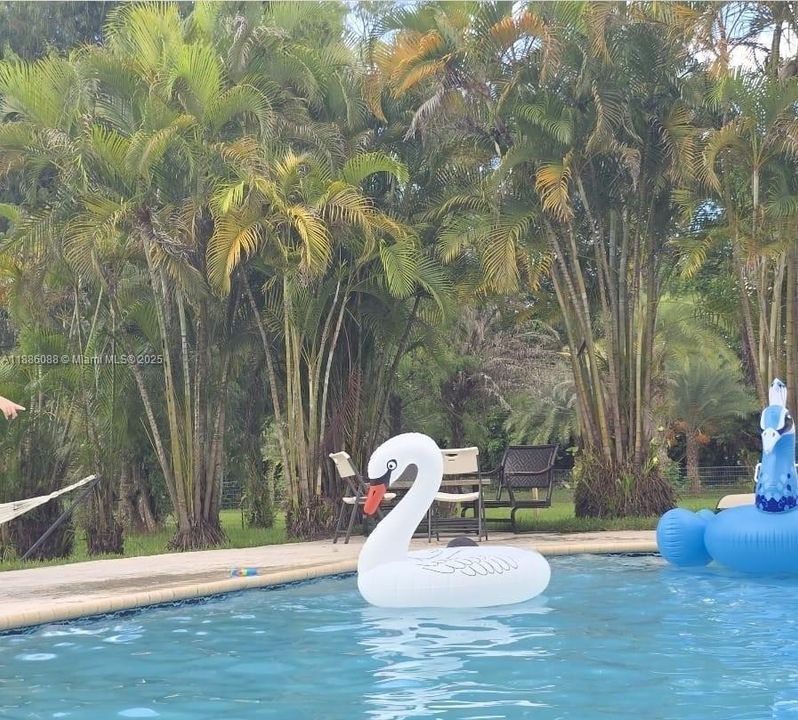 В аренду: $9,000 (4 спален, 3 ванн, 2488 Квадратных фут)