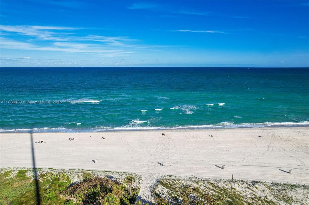 Recientemente alquilado: $2,700 (1 camas, 1 baños, 980 Pies cuadrados)