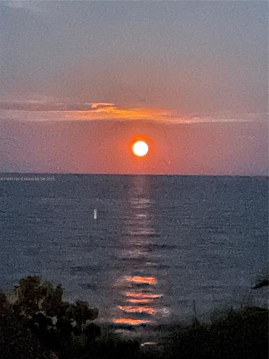 出租: $5,800 (2 贝兹, 2 浴室, 1409 平方英尺)