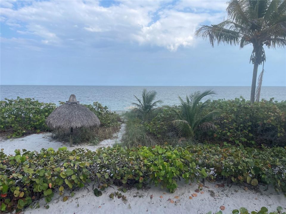 出租: $5,800 (2 贝兹, 2 浴室, 1409 平方英尺)