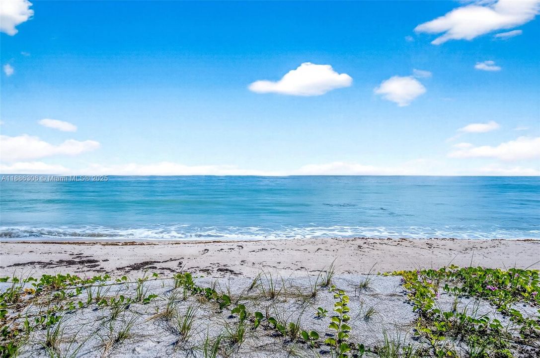 For Sale: $6,445,000 (5 beds, 6 baths, 4800 Square Feet)