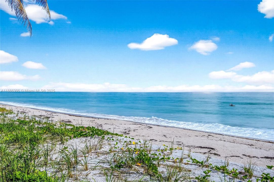 For Sale: $6,445,000 (5 beds, 6 baths, 4800 Square Feet)