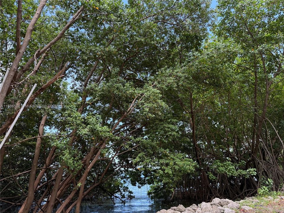 En Venta: $359,500 (1 camas, 1 baños, 760 Pies cuadrados)