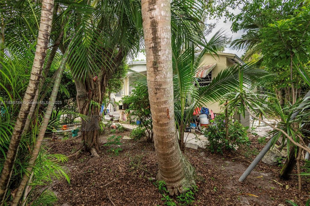 待售: $350,000 (2 贝兹, 1 浴室, 800 平方英尺)