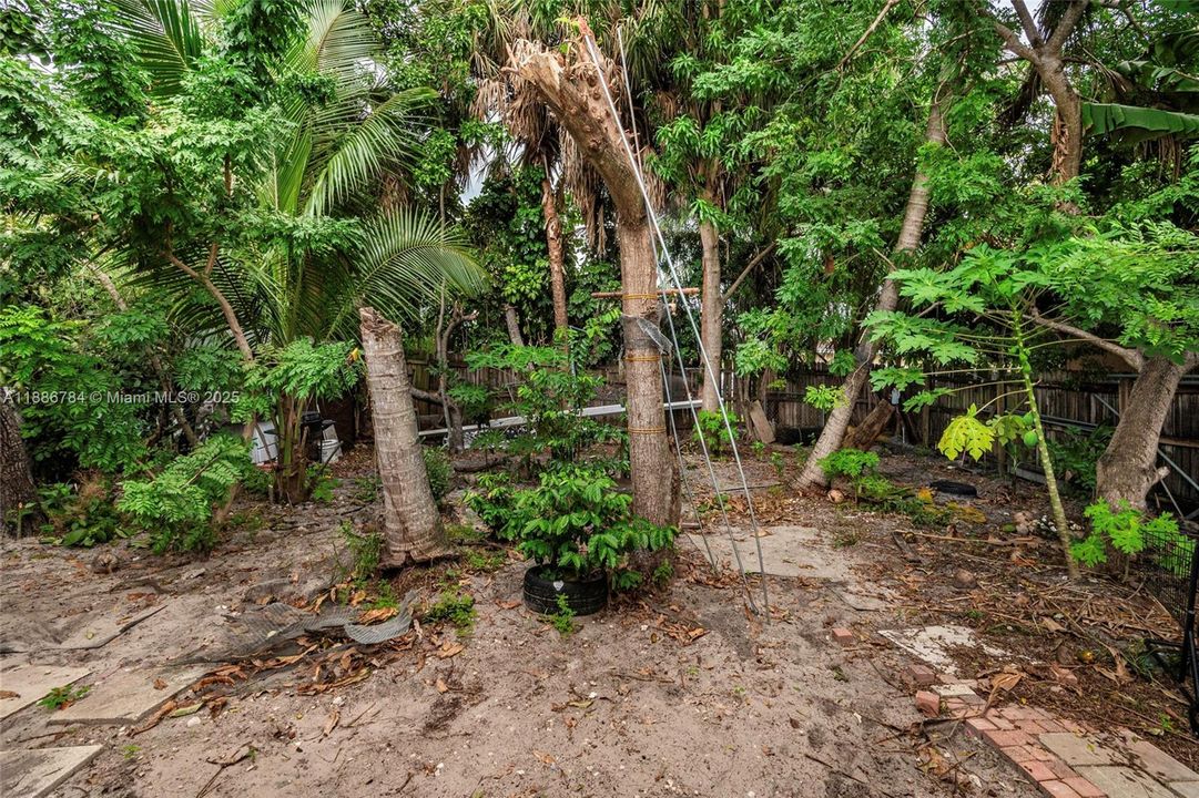 待售: $350,000 (2 贝兹, 1 浴室, 800 平方英尺)