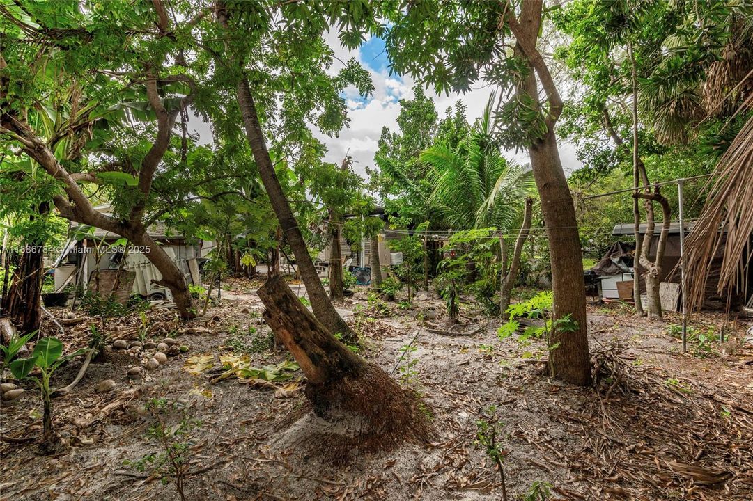 待售: $350,000 (2 贝兹, 1 浴室, 800 平方英尺)