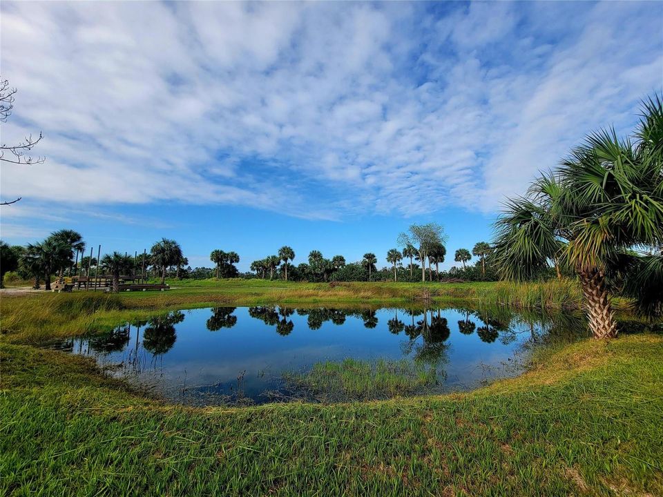 freshwater pond