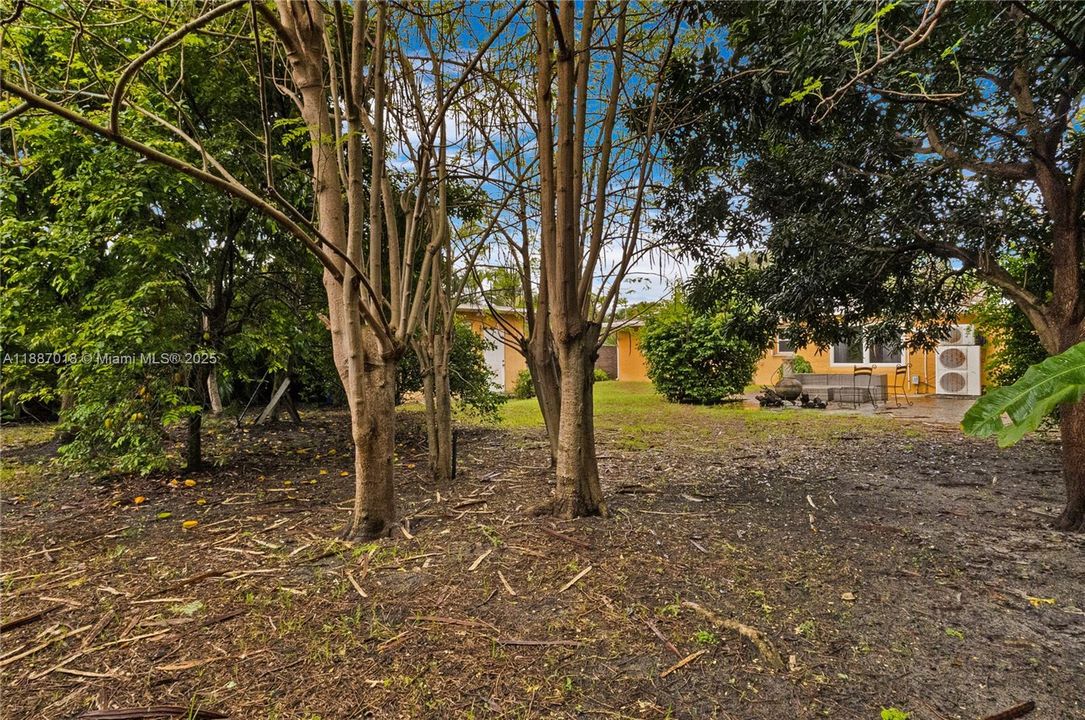 Room for a Large Pool