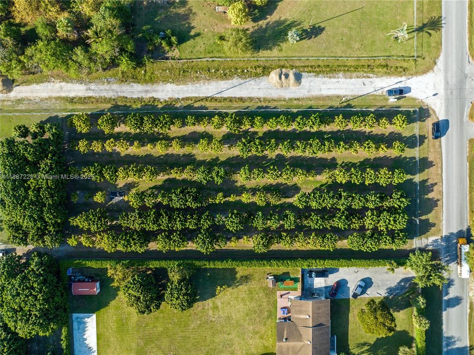 Под контрактом: $350,000 (1.46 acres)