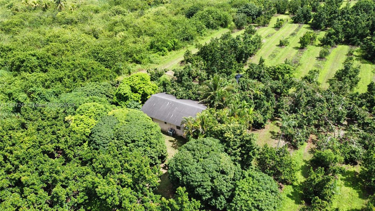 Active With Contract: $1,190,000 (2 beds, 2 baths, 889 Square Feet)