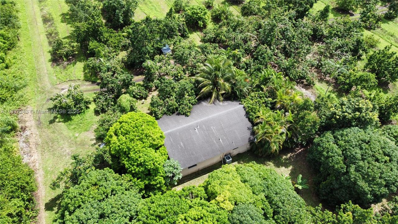 Active With Contract: $1,190,000 (2 beds, 2 baths, 889 Square Feet)