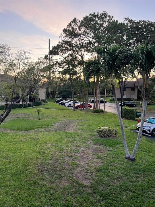 Activo con contrato: $1,800 (2 camas, 2 baños, 1115 Pies cuadrados)