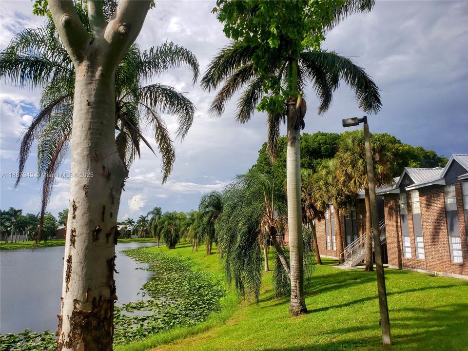 En Renta: $1,550 (2 camas, 1 baños, 816 Pies cuadrados)