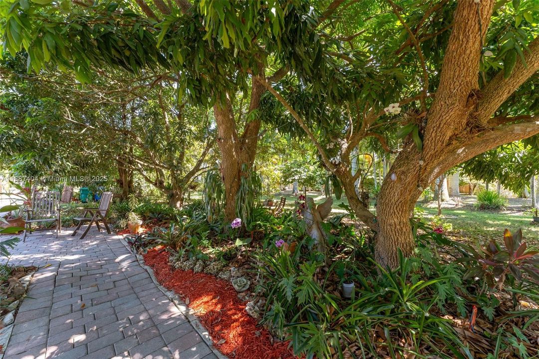 Pathway from home to the Artisan studio the Tiki that fronts the studio. The studio is on the other side of property away from the pool/patio, Its a super lay out and use of exterior space. The barn is in the rear of the property. Its divided into quadrants.