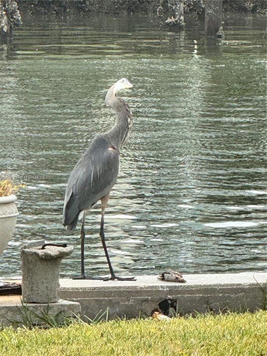 For Sale: $795,000 (2 beds, 1 baths, 0 Square Feet)