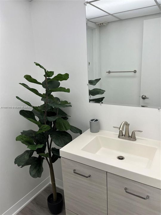 合同活跃: $2,000 (2 贝兹, 1 浴室, 1202 平方英尺)