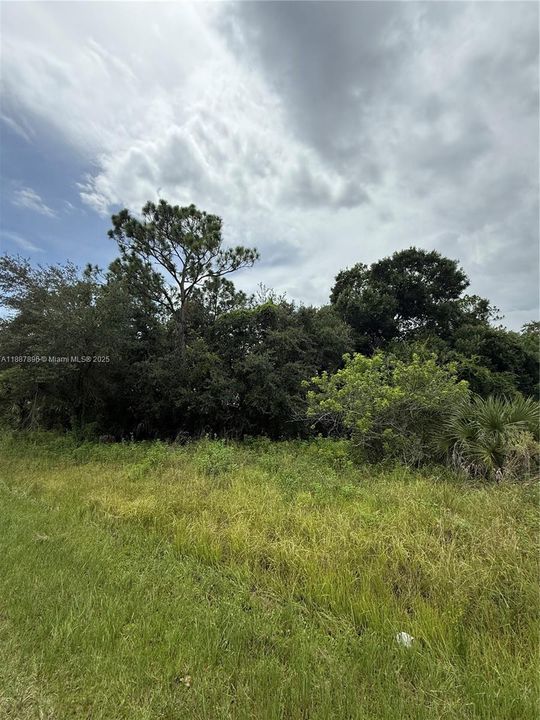 Vendido Recientemente: $49,999 (1.25 acres)