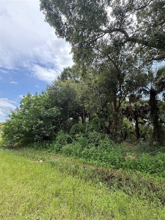 Vendido Recientemente: $49,999 (1.25 acres)