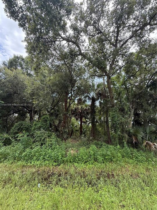 Vendido Recientemente: $49,999 (1.25 acres)