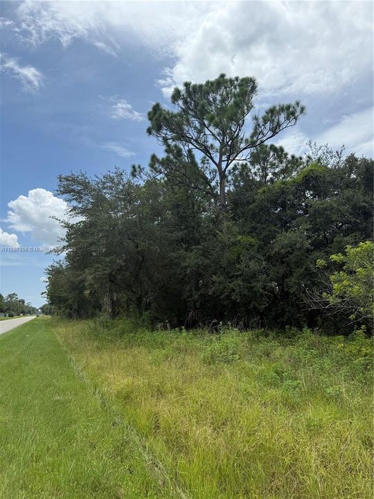 Vendido Recientemente: $49,999 (1.25 acres)