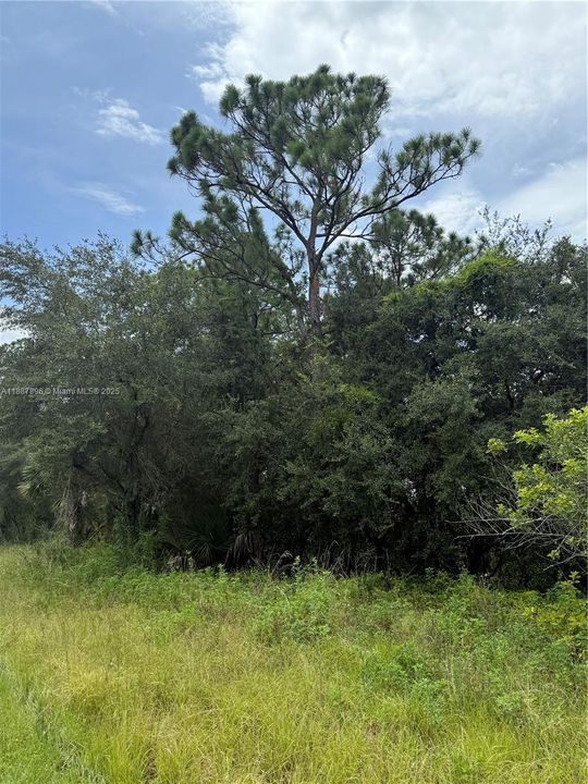 Vendido Recientemente: $49,999 (1.25 acres)