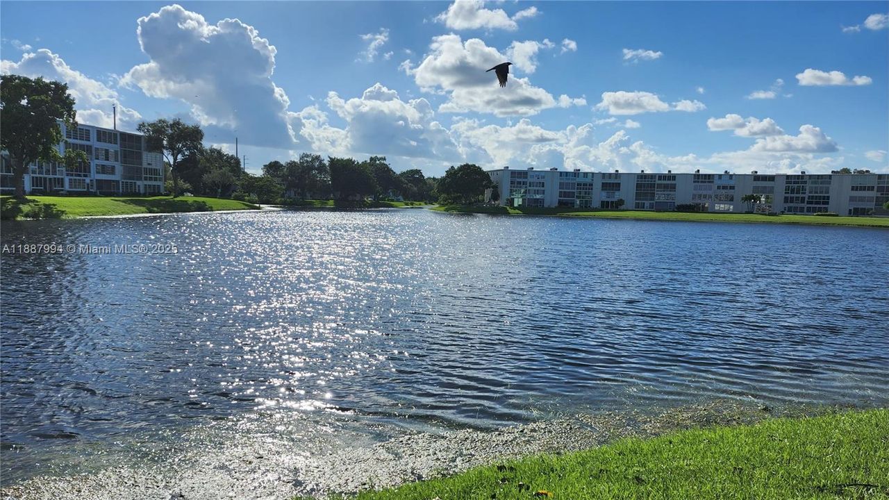 待售: $109,900 (1 贝兹, 1 浴室, 700 平方英尺)