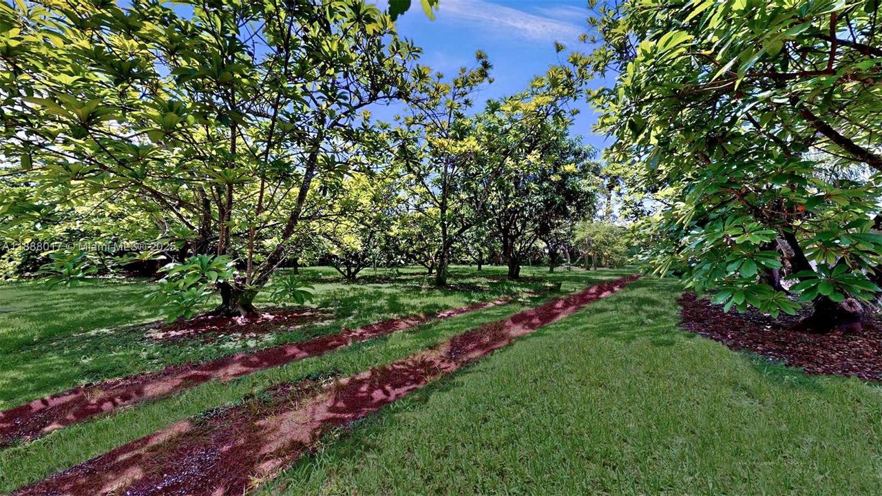 For Sale: $995,000 (3 beds, 2 baths, 2548 Square Feet)