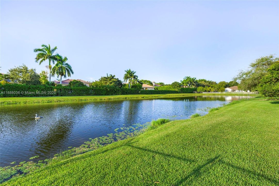 合同活跃: $1,474,000 (4 贝兹, 3 浴室, 3560 平方英尺)