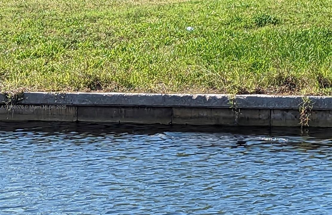 Active With Contract: $1,129,000 (4 beds, 3 baths, 2563 Square Feet)