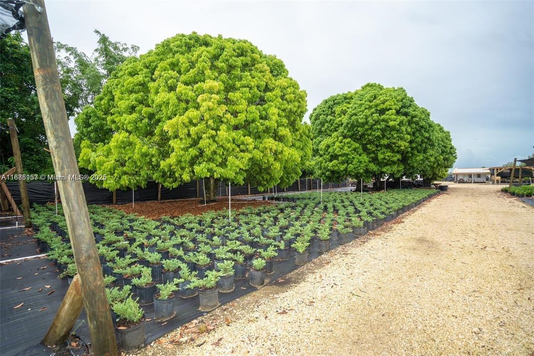 На продажу: $1,550,000 (3 спален, 3 ванн, 1721 Квадратных фут)