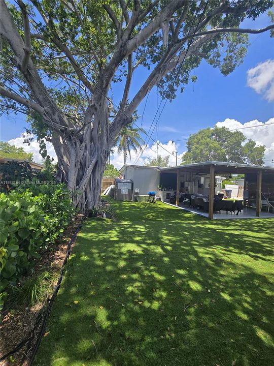 合同活跃: $430,000 (2 贝兹, 2 浴室, 737 平方英尺)