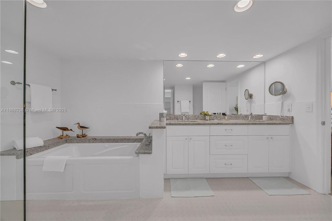 The master bath room features a Jacuzzi, a vanity with double sinks, a Baci cosmetic mirror and a large shower.