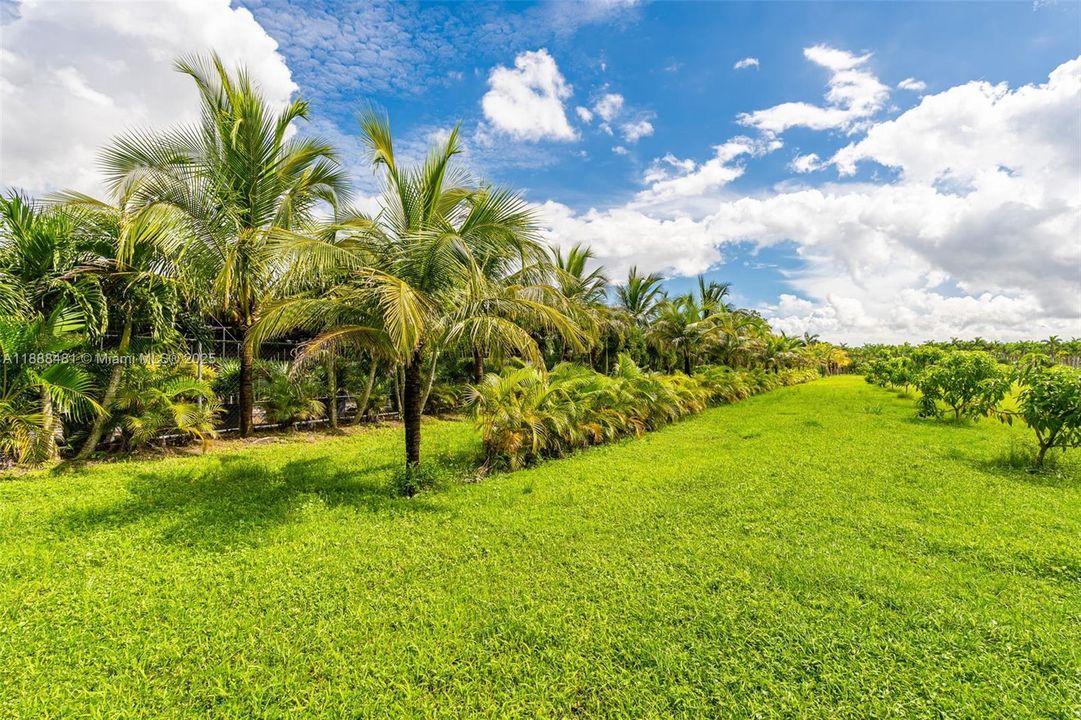 For Sale: $1,234,980 (4.57 acres)