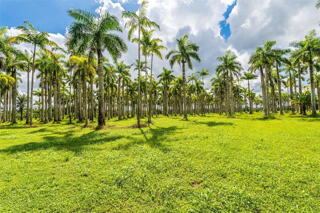 En Venta: $2,775,600 (10.28 acres)