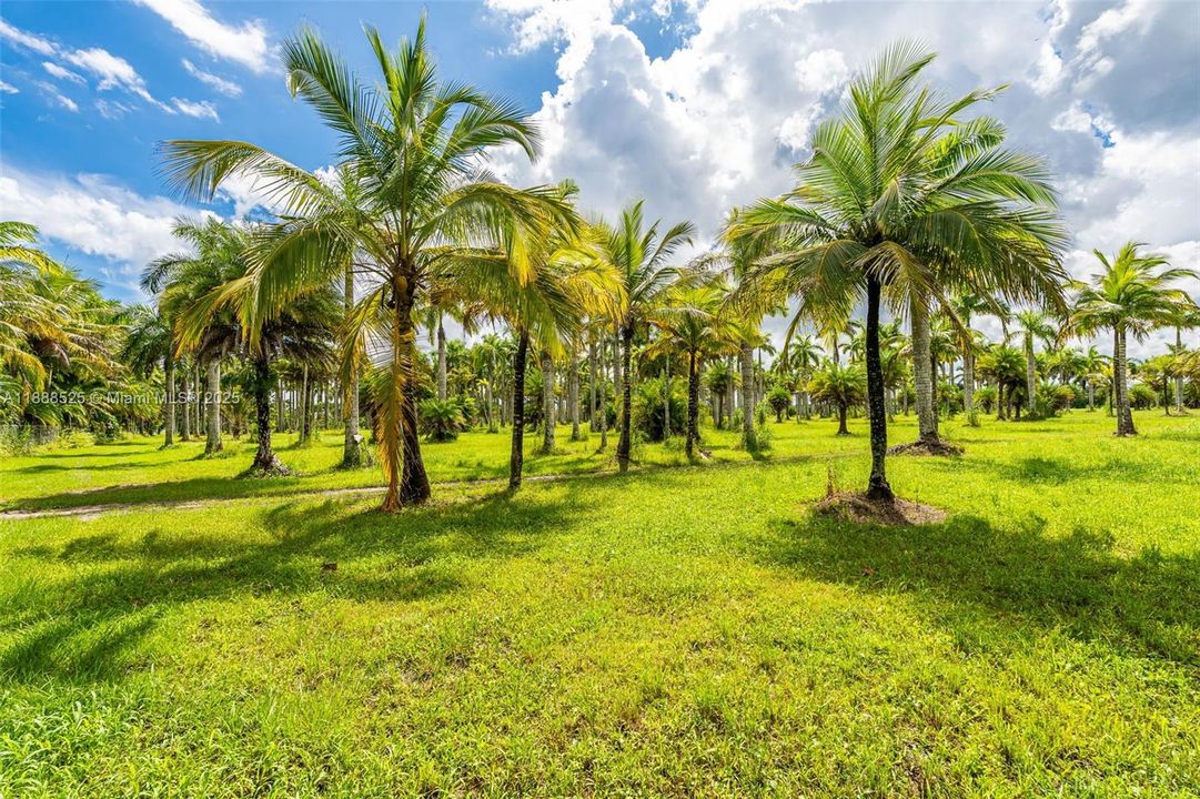 En Venta: $2,775,600 (10.28 acres)