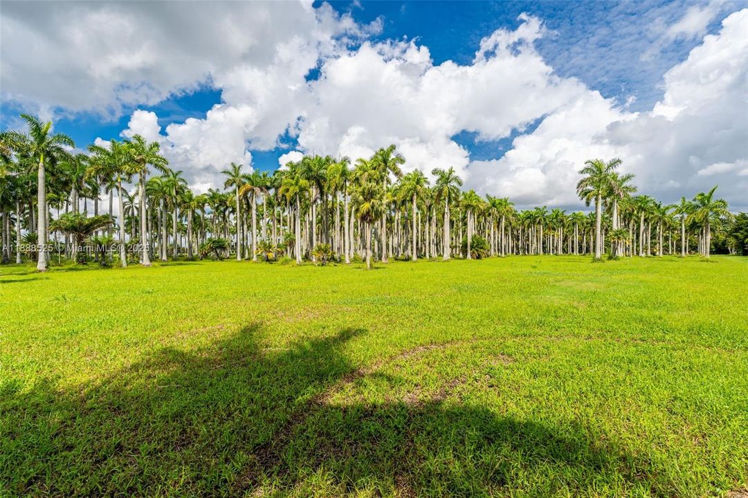 En Venta: $2,775,600 (10.28 acres)