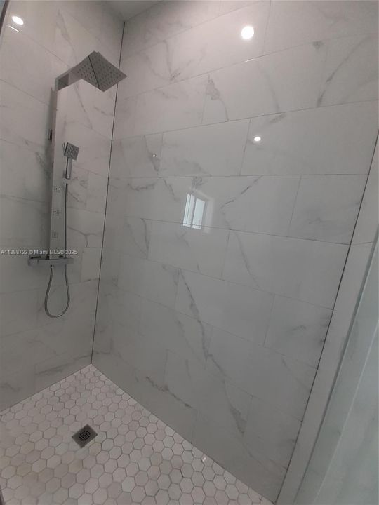 Master Bathroom View 5