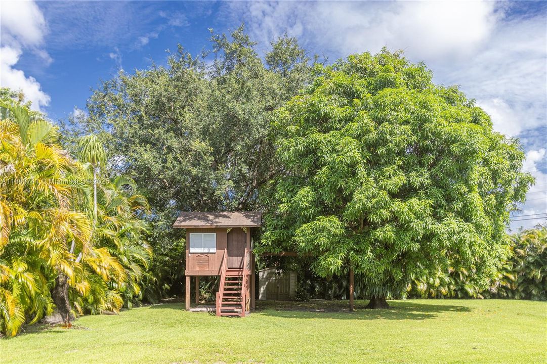 Surrounded by plants.