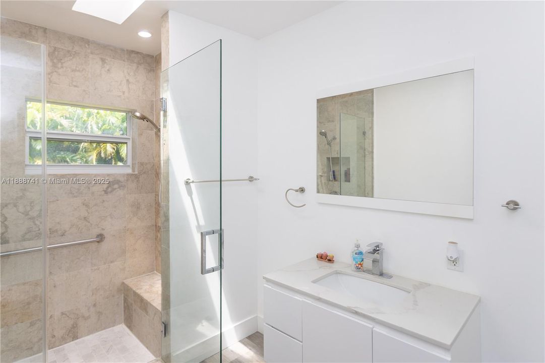 Ground level 2nd bathroom with skylight