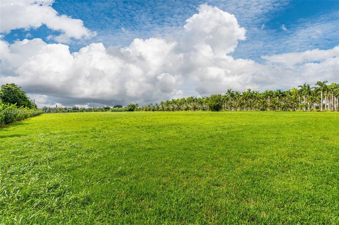 待售: $1,247,400 (4.62 acres)