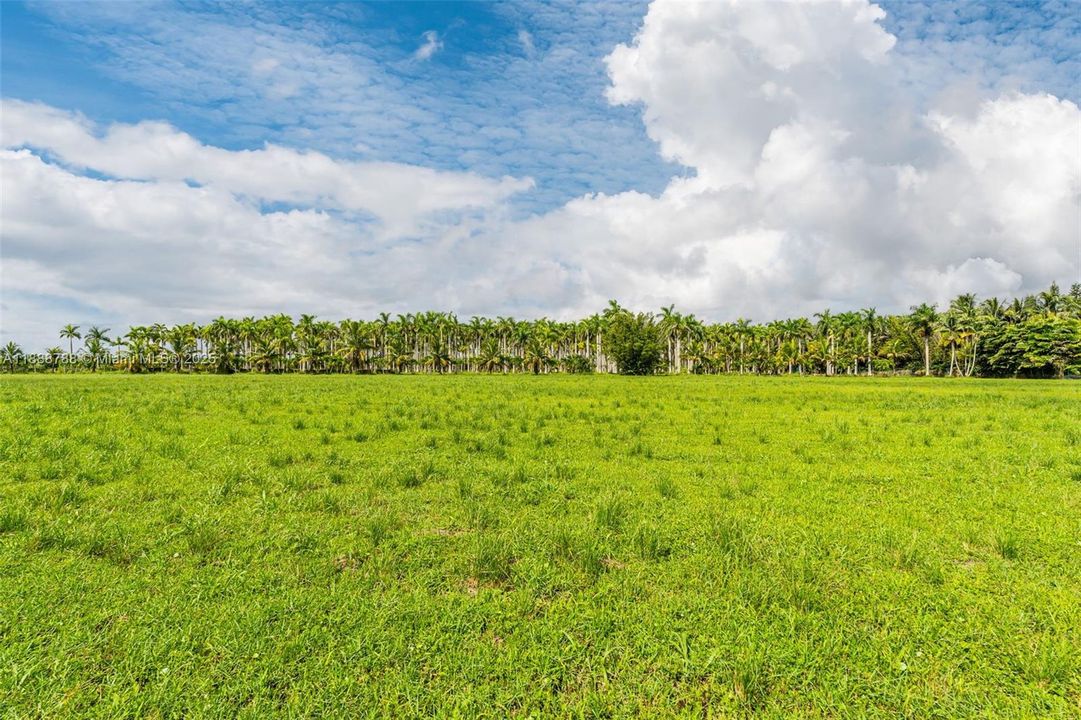 待售: $1,247,400 (4.62 acres)