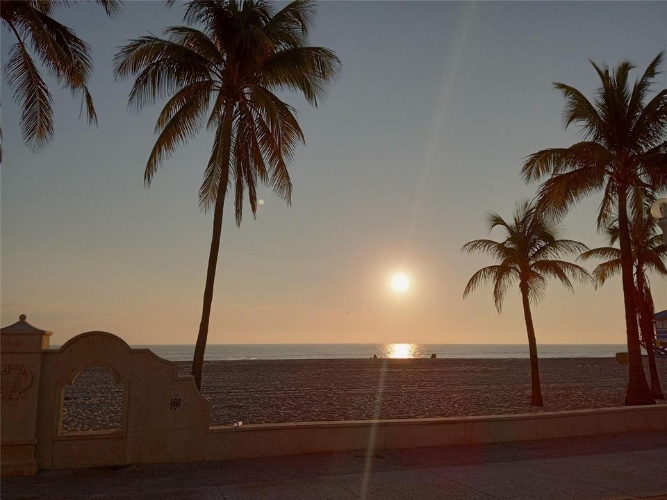 Hollywood Beach