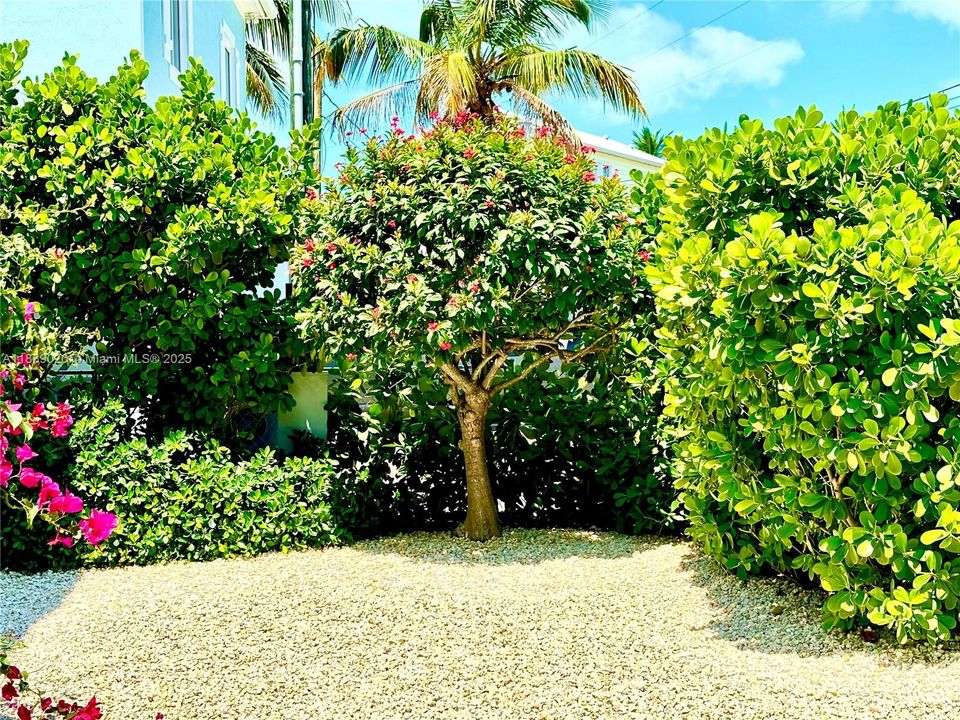 En Venta: $1,500,000 (3 camas, 3 baños, 2128 Pies cuadrados)