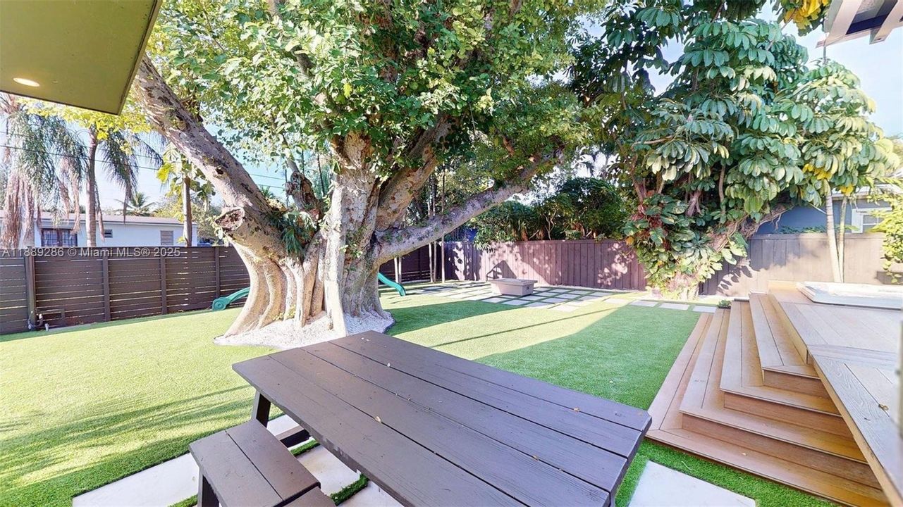 Many beautiful moments await you under this gorgeous tree :-)